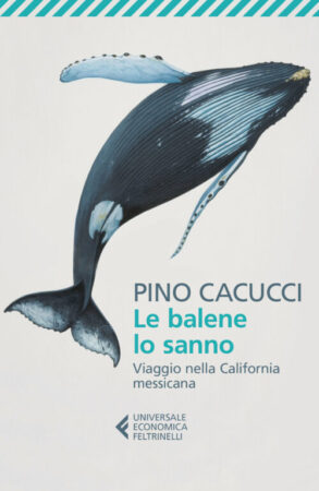 Le balene lo sanno – Pino Cacucci